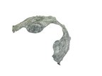 Mopar 68272334AD Sound Absorber - view 2