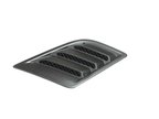Mopar 68292861AE Hood Scoop Grille Insert - view 1