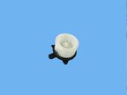 Mopar 68301851AA Cabin Air Filter Nut - view 1
