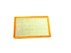 Mopar 68386779AA Engine Air Filter - Primary - view 2