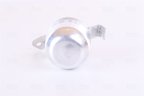 Nissens 95004 A/C Receiver Drier - view 3