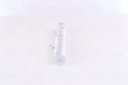Nissens 95596 A/C Receiver Drier - view 3