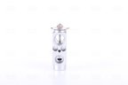 Nissens 999251 A/C Expansion Valve - view 5