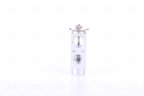 Nissens 999251 A/C Expansion Valve - view 1