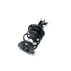 Mando MSS050085A Suspension Strut and Coil Spring Assembly - Front Left - view 4