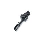 Mando MSS050260A Suspension Strut and Coil Spring Assembly - Rear Right - view 2