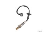 NTK 24548 Oxygen Sensor - Downstream or Upstream - view 3