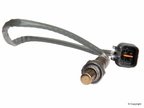 Denso 234-4317 Oxygen Sensor - Upstream - view 3
