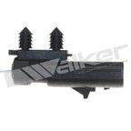 Walker 1003-1009 Exhaust Gas Temperature (EGT) Sensor - view 3