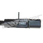 Walker 1003-1021 Exhaust Gas Temperature (EGT) Sensor - view 3