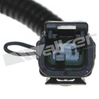 Walker 1003-1023 Exhaust Gas Temperature (EGT) Sensor - view 4