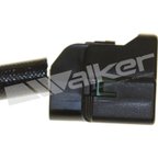 Walker 1003-1024 Exhaust Gas Temperature (EGT) Sensor - view 3