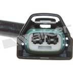 Walker 1003-1024 Exhaust Gas Temperature (EGT) Sensor - view 4