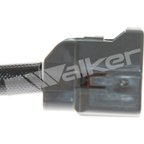 Walker 1003-1025 Exhaust Gas Temperature (EGT) Sensor - view 3