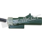 Walker 1003-1038 Exhaust Gas Temperature (EGT) Sensor - view 3