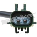 Walker 1003-1038 Exhaust Gas Temperature (EGT) Sensor - view 4