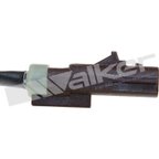 Walker 1003-1039 Exhaust Gas Temperature (EGT) Sensor - view 3
