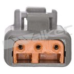 Walker 1006-1007 Fuel Injection Pressure Sensor - view 3