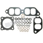 Walker 18089 Fuel Injector Repair Kit - view 1