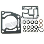 Walker 18101 Fuel Injector Repair Kit - view 1