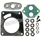 Walker 18112 Fuel Injector Repair Kit - view 1
