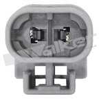Walker 210-1139 Air Charge Temperature Sensor - view 3