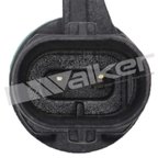 Walker 210-1148 Air Charge Temperature Sensor - view 3