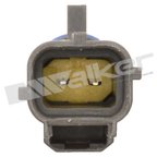 Walker 210-1161 Air Charge Temperature Sensor - view 3