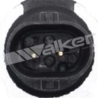 Walker 210-1175 Air Charge Temperature Sensor - view 3