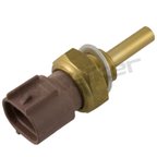 Walker 211-1116 Engine Coolant Temperature Sensor - view 1