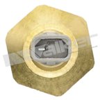 Walker 211-2050 Engine Coolant Temperature Sender - view 3