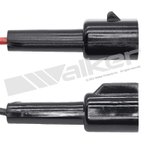 Walker 211-2187 Engine Coolant Temperature Sender - view 4