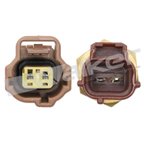 Walker 214-91002 Engine Coolant Temperature Sender - view 3