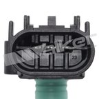 Walker 225-1458 Fuel Tank Pressure Sensor - view 3