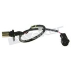 Walker 235-1479 Engine Crankshaft Position Sensor - view 1