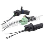 Walker 235-2366 Engine Crankshaft Position Sensor - view 1