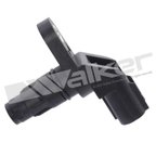 Walker 240-1300 Vehicle Speed Sensor - view 4