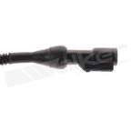 Walker 241-1006 ABS Wheel Speed Sensor - Front Right - view 3