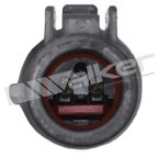 Walker 241-1106 ABS Wheel Speed Sensor - Front or Front Right - view 3