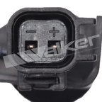 Walker 241-1186 ABS Wheel Speed Sensor - Front Right - view 3