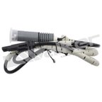 Walker 241-1234 ABS Wheel Speed Sensor - Rear, Rear Left or Rear Right - view 2