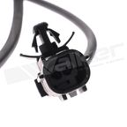 Walker 241-1310 ABS Wheel Speed Sensor - Front Left - view 1