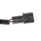 Walker 242-1066 Ignition Knock (Detonation) Sensor - view 3