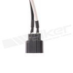 Walker 242-1357 Ignition Knock (Detonation) Sensor - view 4