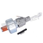 Walker 242-91017 Ignition Knock (Detonation) Sensor - view 1