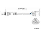 Walker 250-23109 Oxygen Sensor - Upstream Left - view 2