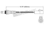 Walker 250-24001 Oxygen Sensor - view 3