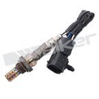Walker 250-24006 Oxygen Sensor - view 1