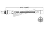 Walker 250-24009 Oxygen Sensor - Upstream - view 3