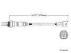 Walker 250-24049 Oxygen Sensor - Upstream, Upstream Left or Upstream Right - view 2